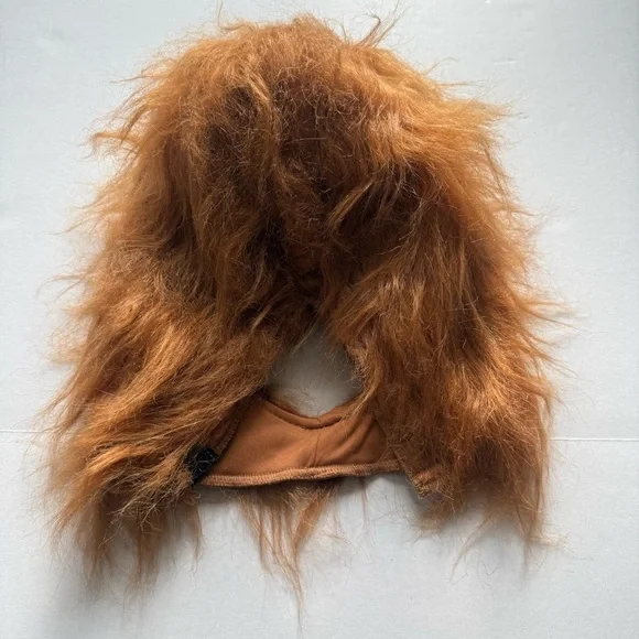 Cowardly Lion Wizard of Oz Boy Halloween Costume Realistic Mane Small 6-7 - Picture 8 of 16